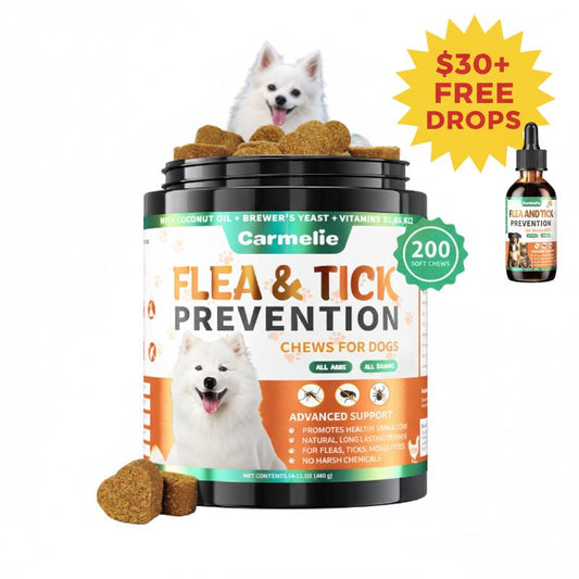 Flea & Tick Dog Chews